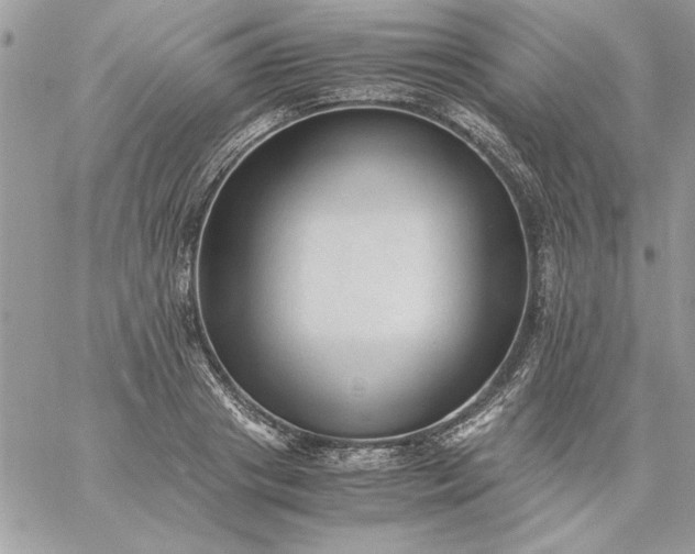 X0000059090841200510172052