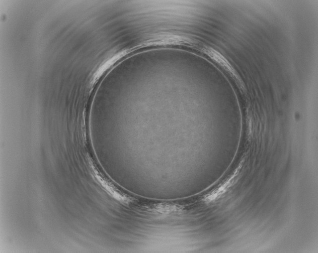 X0000059090842200510172053