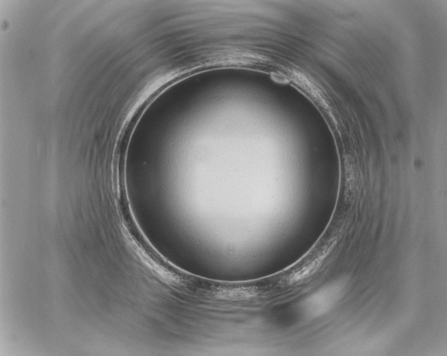 X0000059090843200510172053