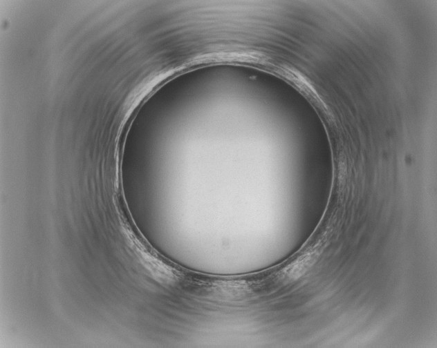 X0000059090844200510172053