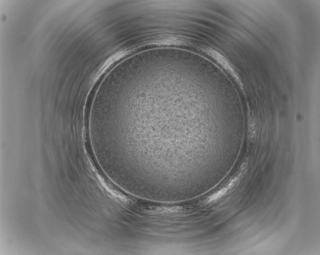 X0000059090845200510172053