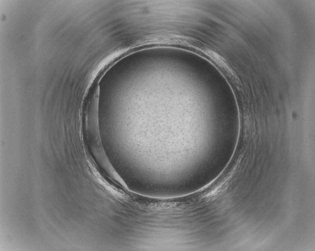 X0000059090846200510172053