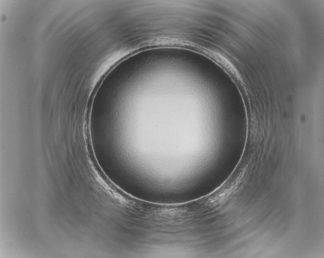 X0000059090847200510172053