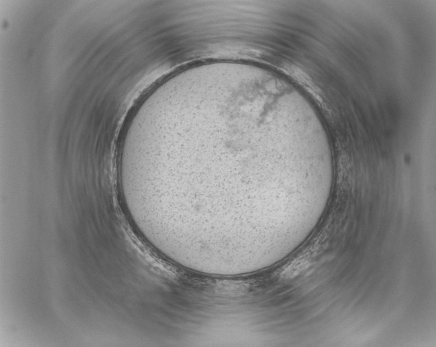 X0000059090848200510172053