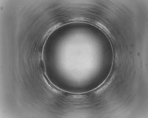 X0000059090849200510172053