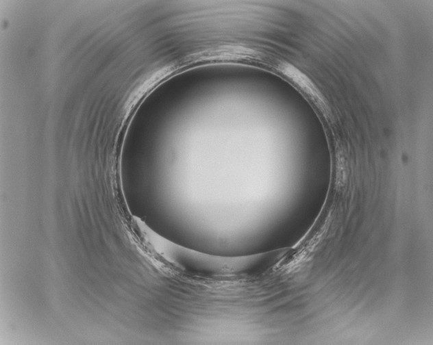 X0000059090850200510172053