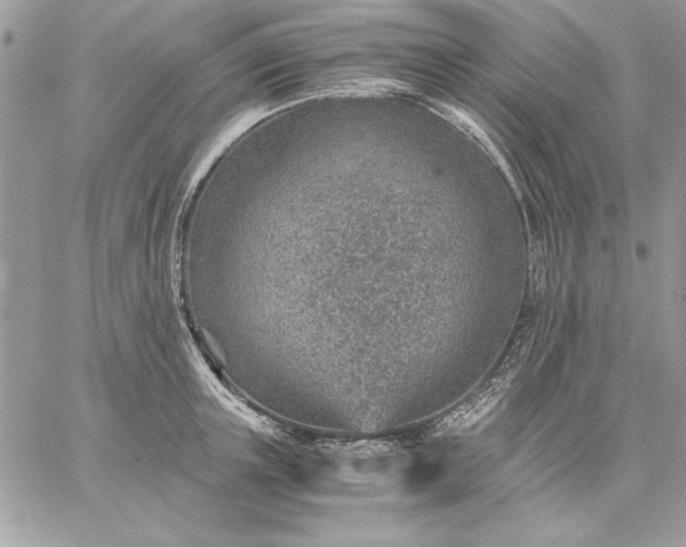 X0000059090851200510172053