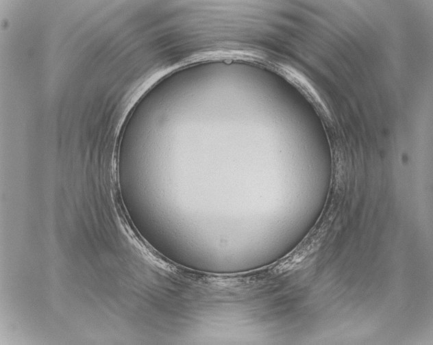 X0000059090852200510172053