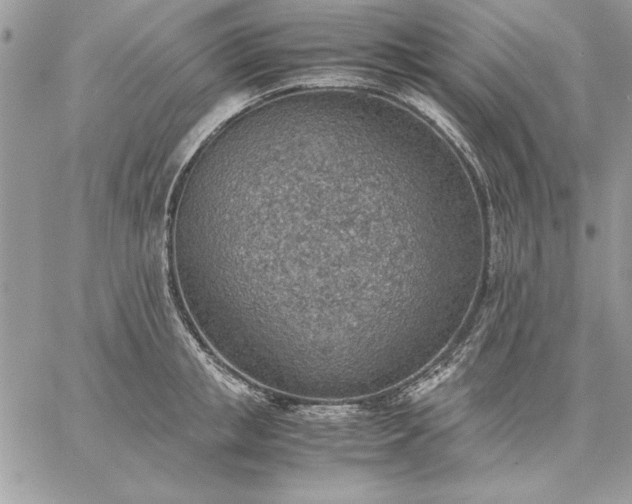 X0000059090853200510172053