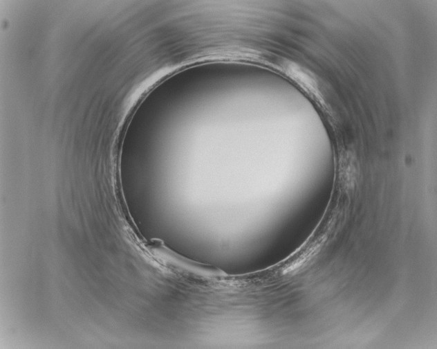 X0000059090854200510172053