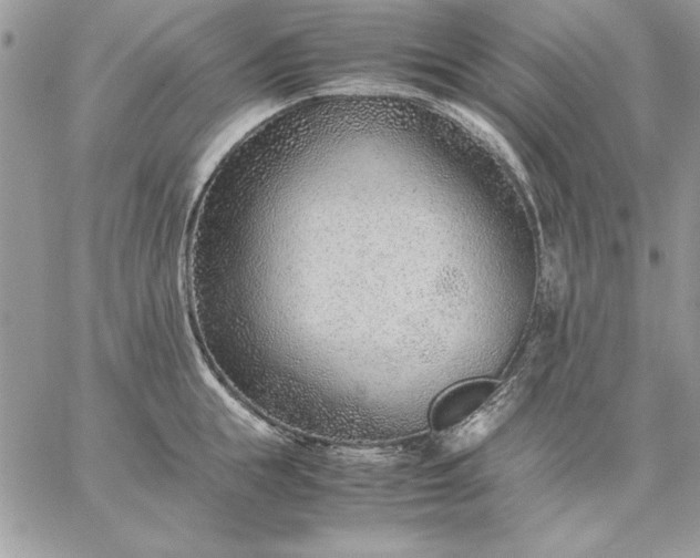 X0000059090855200510172053