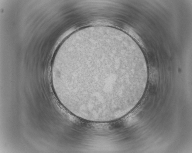 X0000059090856200510172053