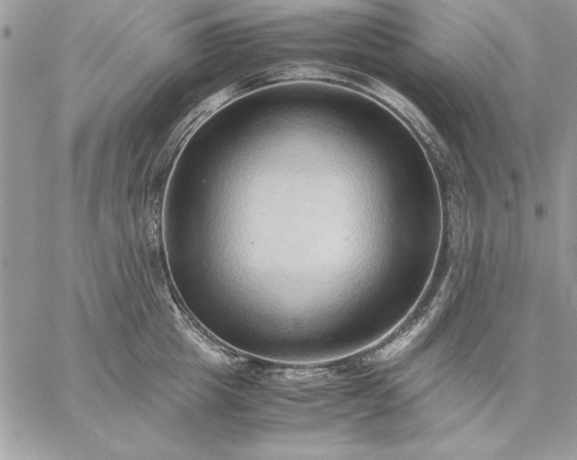 X0000059090857200510172053