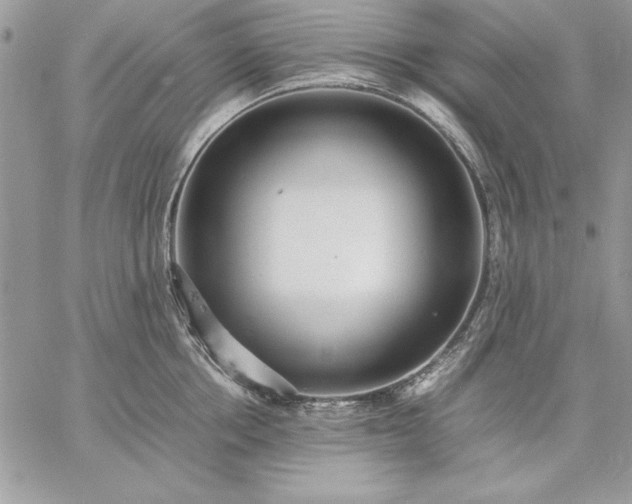 X0000059090858200510172053