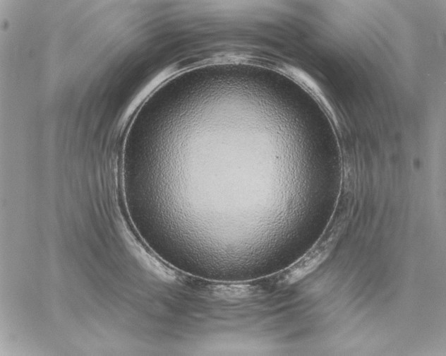 X0000059090859200510172053