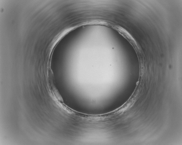 X0000059090860200510172053