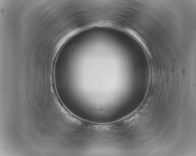 X0000059090861200510172053