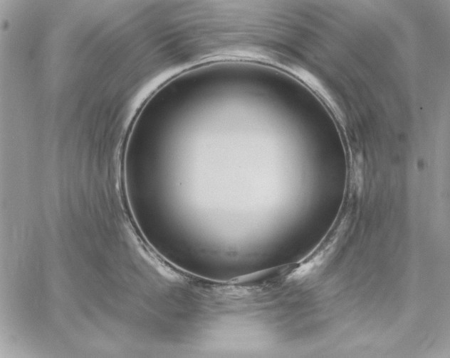 X0000059090862200510172053