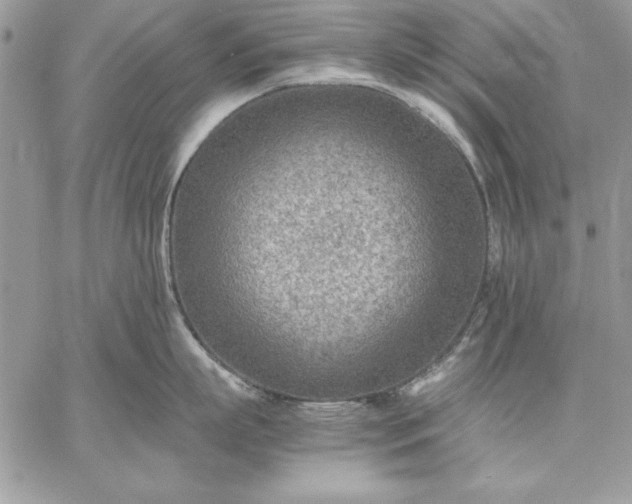 X0000059090863200510172053