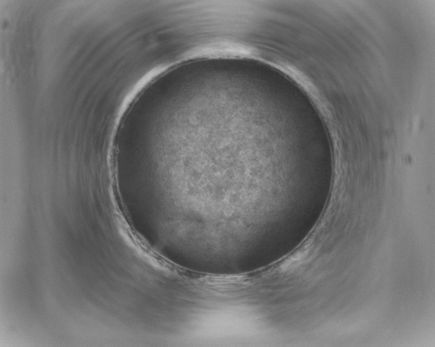 X0000059090864200510172053