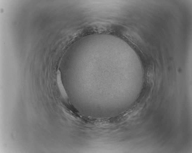 X0000059090865200510172052