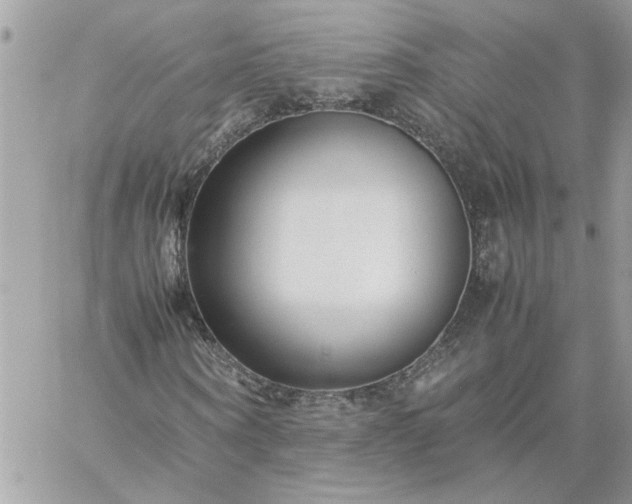 X0000059090866200510172052