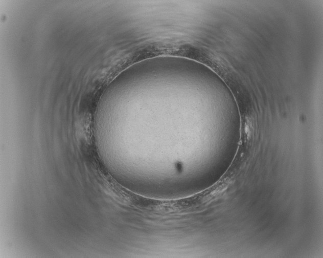 X0000059090867200510172052