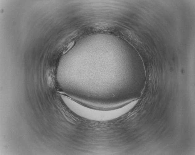 X0000059090868200510172052