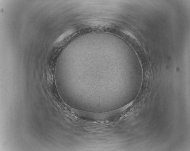 X0000059090869200510172052