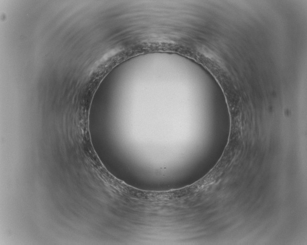 X0000059090870200510172052