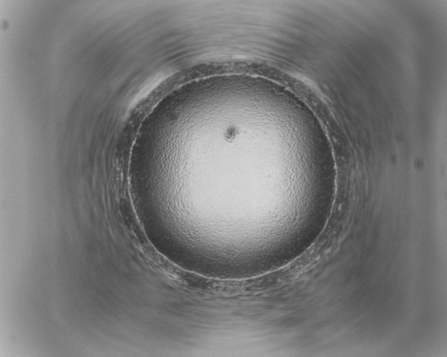 X0000059090871200510172052