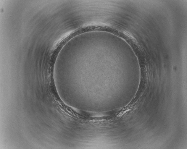 X0000059090872200510172052