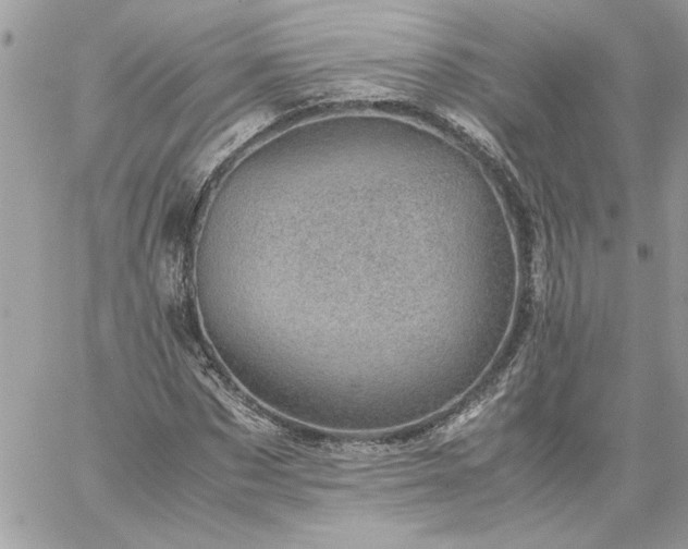 X0000059090873200510172052