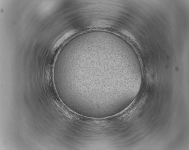 X0000059090874200510172052