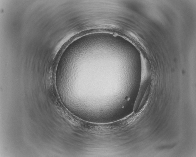 X0000059090875200510172052