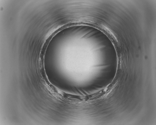 X0000059090876200510172052