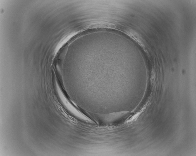 X0000059090877200510172052