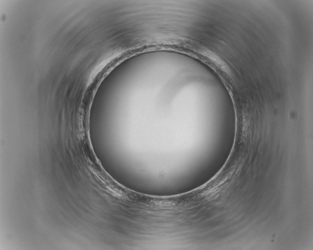 X0000059090878200510172052