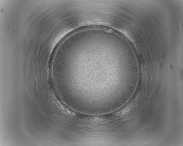 X0000059090879200510172052