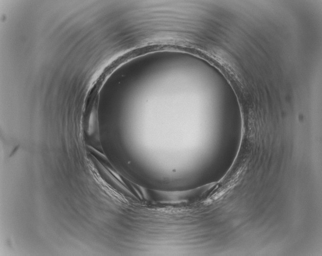 X0000059090880200510172052