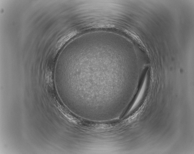 X0000059090881200510172052