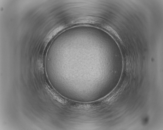 X0000059090882200510172052