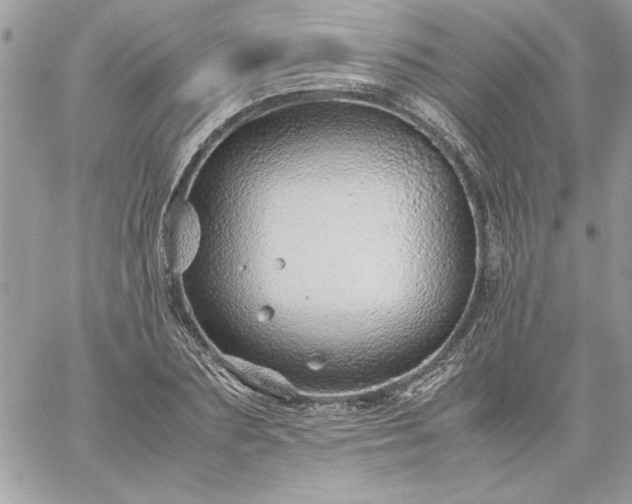 X0000059090883200510172052