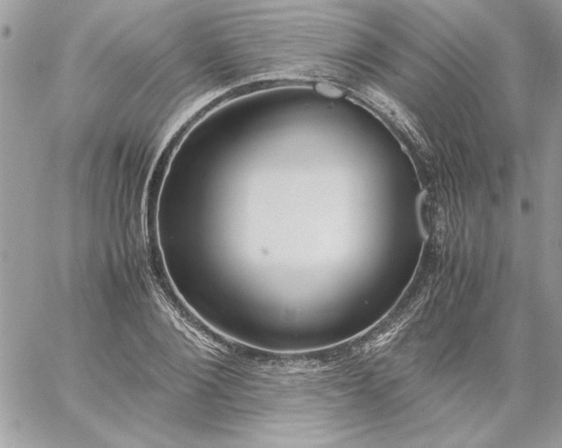 X0000059090884200510172052