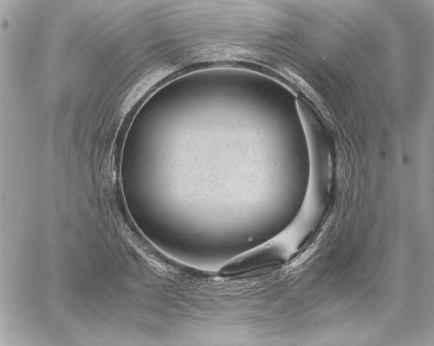 X0000059090885200510172052