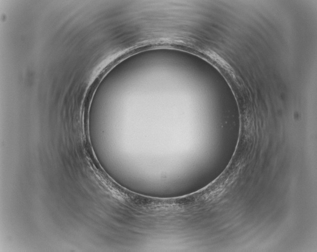 X0000059090886200510172052