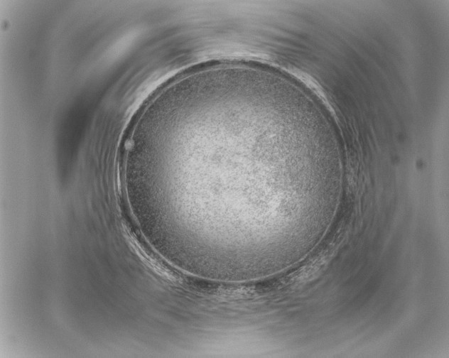 X0000059090887200510172052