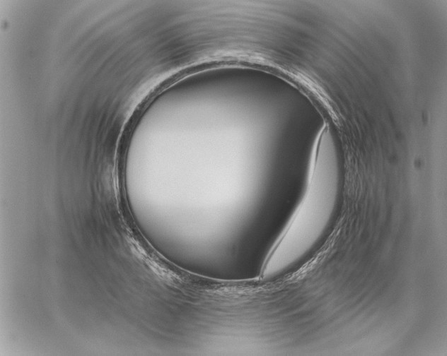 X0000059090888200510172052