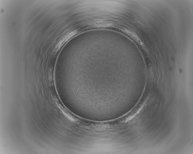 X0000059090889200510172052