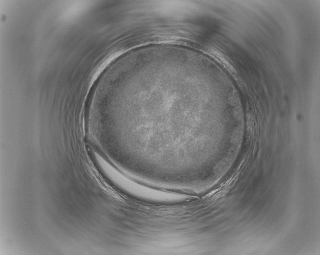 X0000059090891200510172052